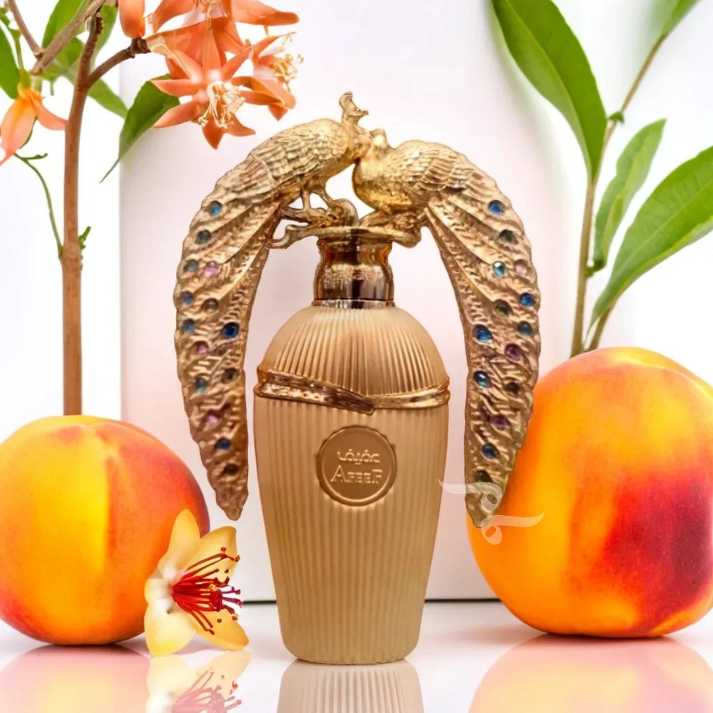 Shop Lattafa Afeef Eau de Parfum 100ml – a refined unisex fragrance with citrus, florals, woods, and musk. Long-lasting oriental luxury perfume.