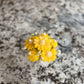Small bouquet of yellow flowers in a white vase on a marble countertop