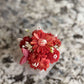Premium handcrafted candle with fresh rose essence. Elegant floral design, perfect for gifting or luxury home décor.